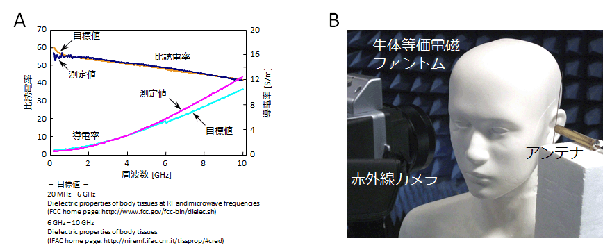 生体等価電磁ファントム