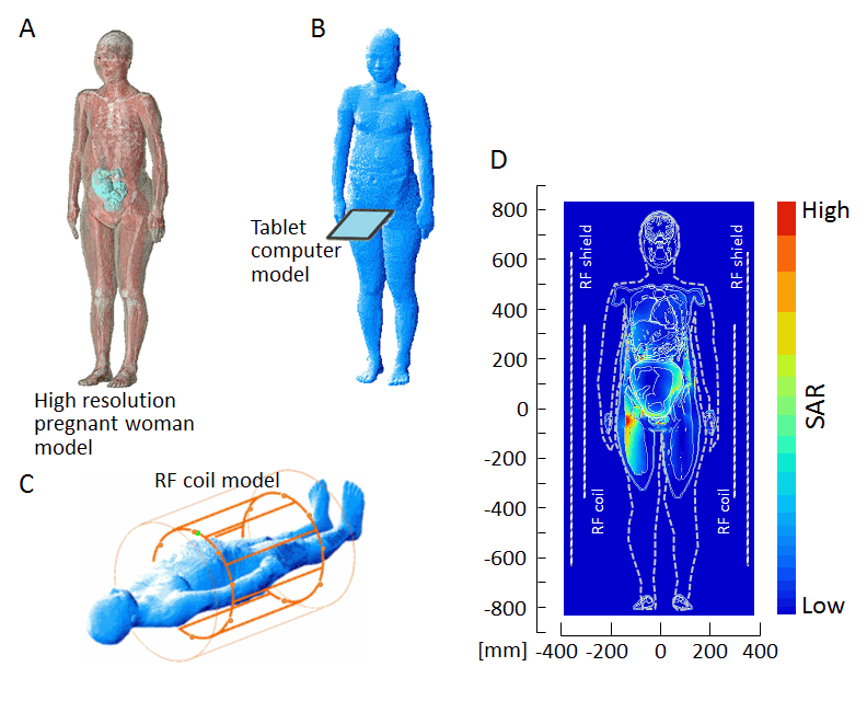 Electromagnetic energy absorption