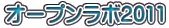 I[v{2011