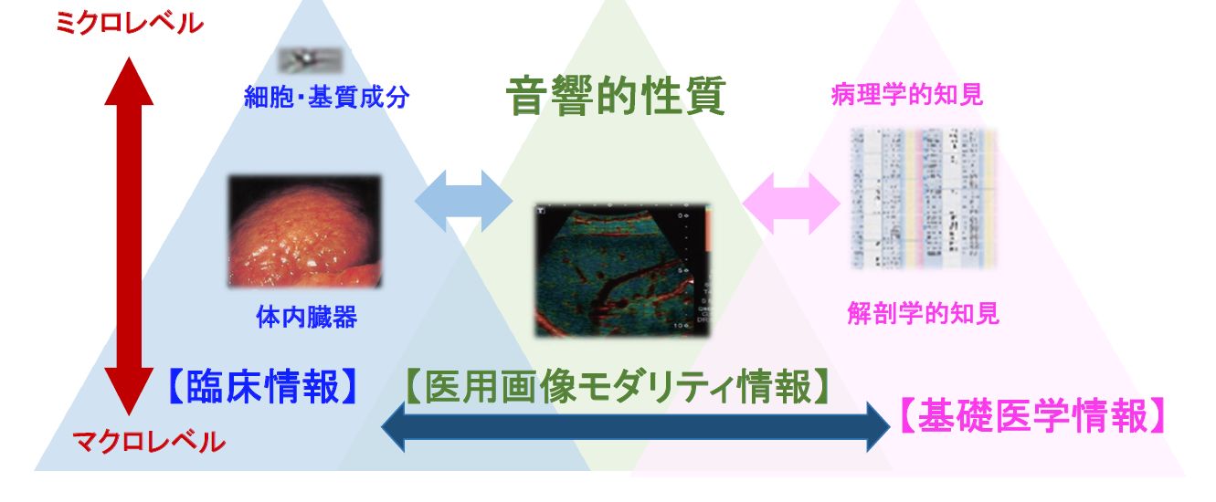 連携図